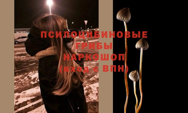 спайс Магас