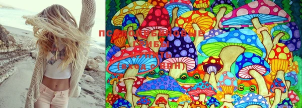 спайс Магас