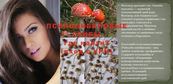 метадон Майский