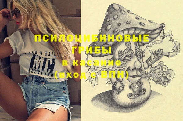спайс Магас