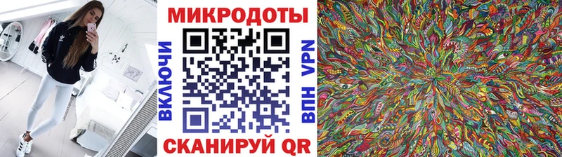 Купить где  Кинешма  Галлюциногенные грибы Cubensis 